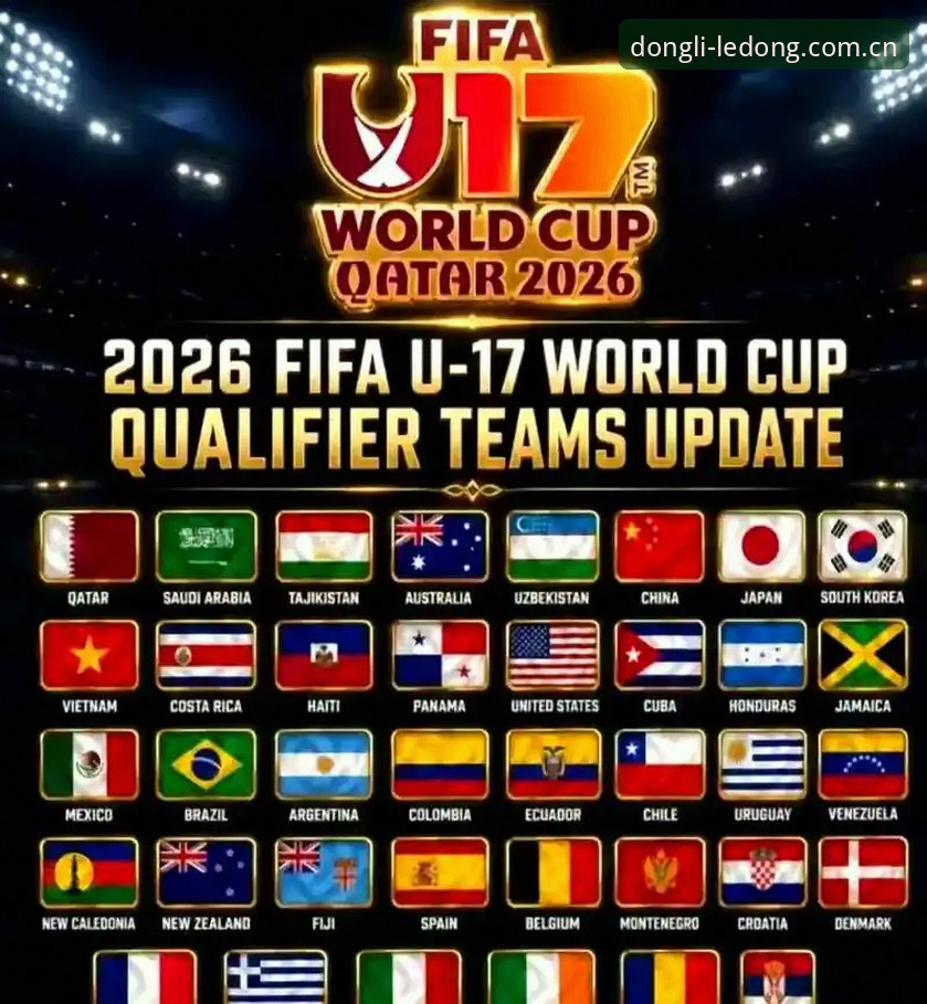资深用户分享：U17世界杯抽签结果解读与赛事观看心得